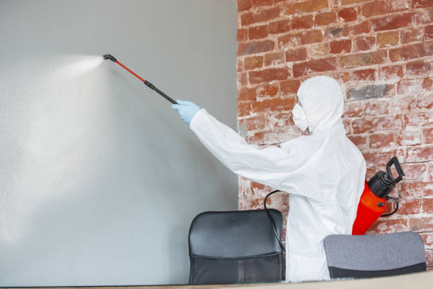 Best Air Quality Testing for Mold Spores  in Winterville, GA