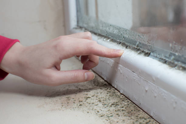 Best Environmental Consulting for Mold Prevention  in Winterville, GA