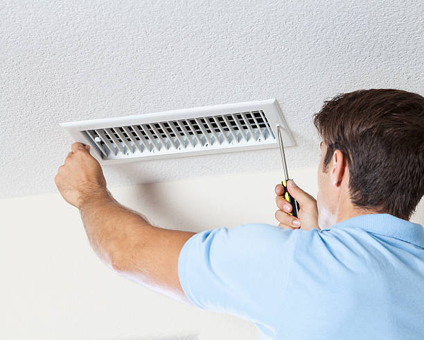 Trusted Winterville, GA Mold Removal Experts