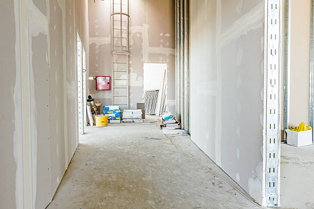 Best Post-Construction Mold Inspection  in Winterville, GA